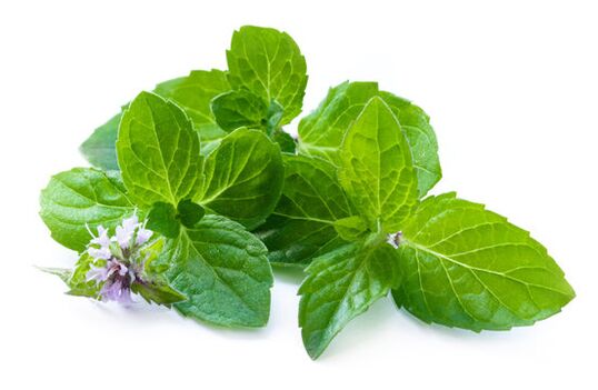 Mint leaves in Nicoden Spray