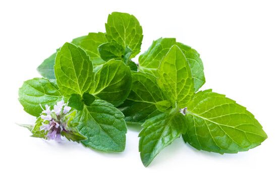 Mint leaves in the zxcvbnmqwert spray